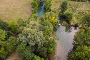 Curieuses Visites - Au fil du canal