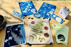 Atelier nature : Herbier cyanotype