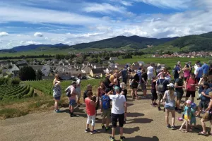 Pique-nique chez le vigneron indépendant - Domaine Meyer-Krumb