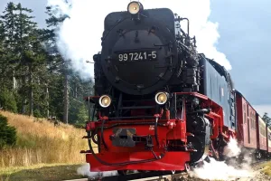 Rando train