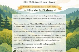 Sortie nature A l'écoute des oiseaux de montagne