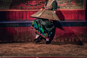 Musique persane - Farnaz Modarresifar