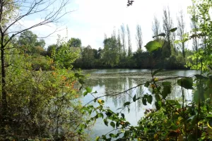 Nettoyage de la nature en bord de Loire