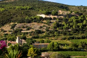 ENTRE MÉMOIRE DES PIERRES ET SAVOIR-FAIRE VIGNERON