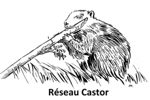 Réunion régionale Castor Centre-Val de Loire