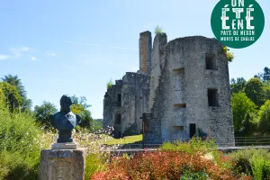 Visite commentée du Château des Cars