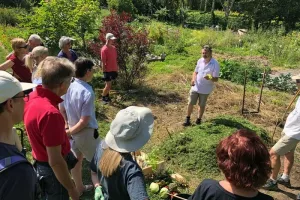Ateliers pratiques sur le jardinage au naturel