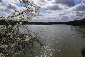 NATUR'OLAC DE LA THÉSAUQUE