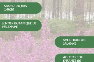 A la découverte des plantes sauvages, médicinales et comestibles avec Francine