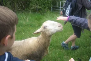 Mouton Challenge au Marais de Bonnefont