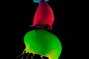 Exposition - Les gouttes d'Ivresse