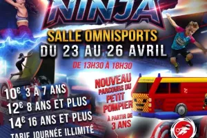 Ultimate ninja