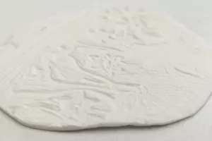 Stage "Peau Paysage"