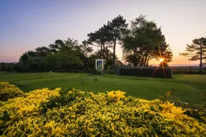 Open Golf