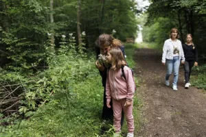 Les plantes médicinales