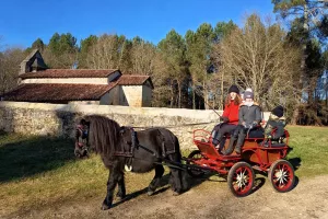 Balade en calèche