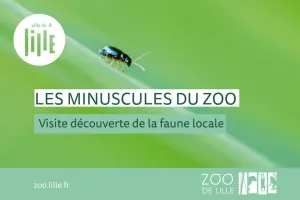 Les minuscules du zoo