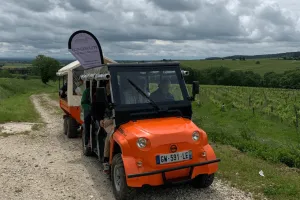 [Eco-circuit ]: promenade en golfette et dégustation dans les vignes