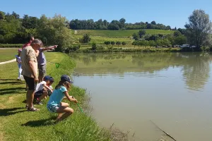 Atelier des p'tits curieux "Les petites bêtes dans l'eau"