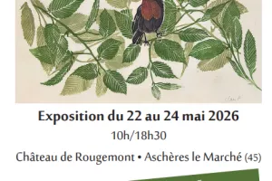 Exposition de gravures et d'estampes