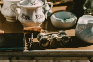 Brocante/Vide grenier à Branceilles