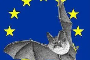 Nuit Internationnale de la Chauve-souris