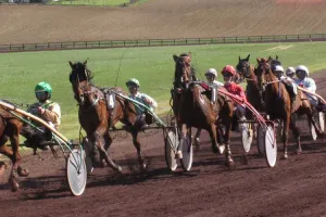 Courses hippiques