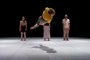 Spectacle - Les autres