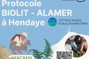 Observateurs du Littoral : découvrez la richesse de la biodiversité de l’estran rocheux.
