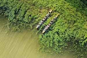 Balade nature en pirogue hawaïenne - Faune Landaise