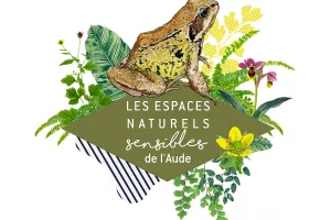 ENS - AU BORD DU LAC SOUS LE CIEL ÉTOILÉ