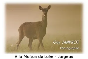 Exposition de la Maison de Loire : Les yeux dans les yeux