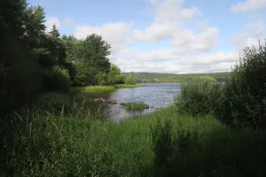 À la découverte du Domaine des Grands Prés