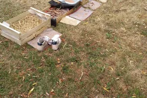 Atelier parents/enfants « Sortir en nature sauvage proche de chez soi »