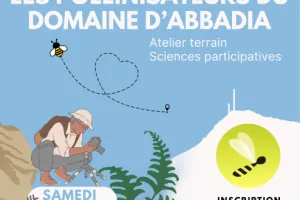 Fête de la Nature 2026 - A la découverte des pollinisateurs du domaine d'Abbadia