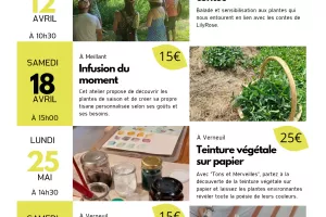 Bâton de fumigation de Litha