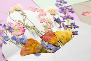 Atelier DIY - Création en fleurs séchées