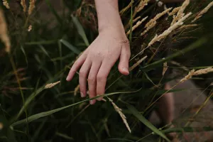 La nature et l’humain : amis ou ennemis ?