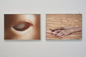 exposition · là où les organes oragent