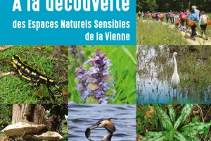 A la découverte des Espaces Naturels Sensibles de la Vienne - Découverte des champignons en terrain calcaire