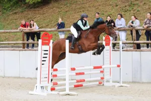 Concours de saut d'obstacles