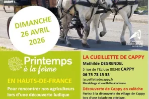 Découverte de Cappy en calèche