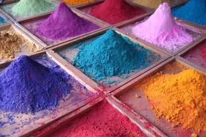 Atelier "De la plante à la couleur !"