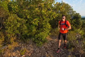 FESTA TRAIL
