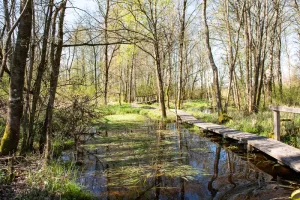 La boucle du marais