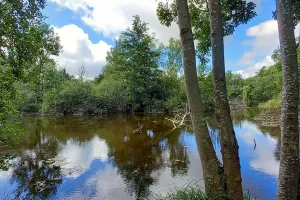 Sortie nature à Laon : "Faune et flore au Domaine de la Solitude"