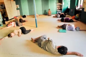 Les Ateliers de Yoga par  Christiane Cywinski