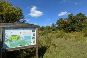Sortie nature à Chermizy-Ailles : "Les orchidées, fines stratèges !"