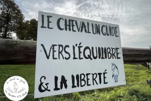 Le cheval guide vers des rencontres - 4e édition