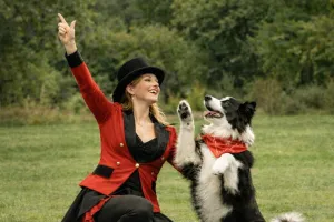Concours de dog dancing